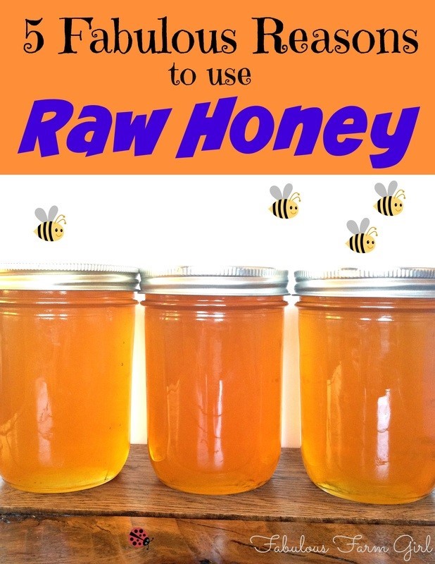  Honey On Face Evergreen Hidden Glen (Evergreen-Hidden Glen) San Jose CA